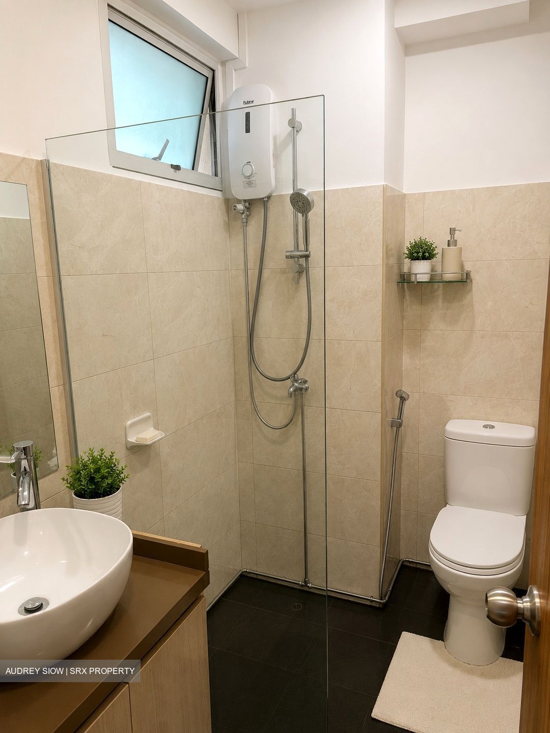 Parkshore (D15), Condominium #611453241